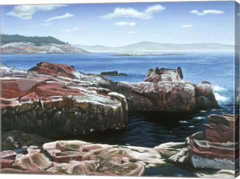 Framed Rocky Coastline Print