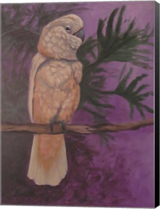 Framed Cockatoo Print