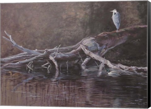 Framed Great Blue Print