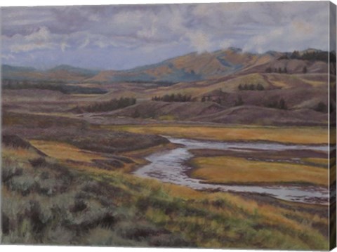 Framed Hayden Valley Print