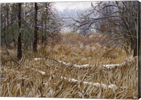 Framed Kensington Metro Park Trail Print