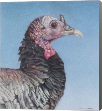 Framed Rainbow Bird Print