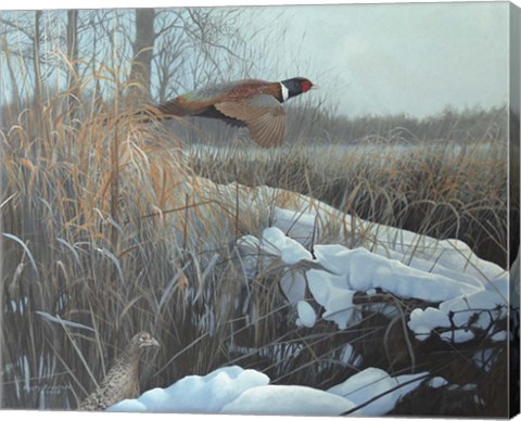 Framed Cruisin? Print