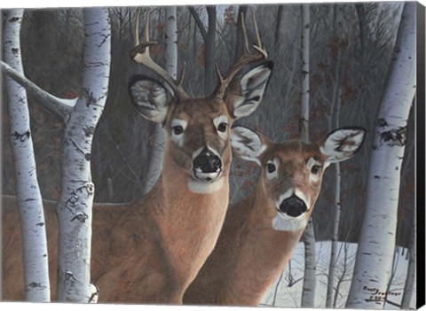 Framed Deer Magic Print