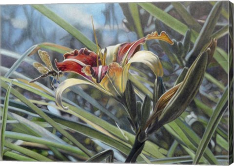 Framed Magic Light Print