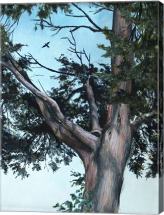 Framed Juniper Tree Print