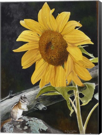Framed Sunflower and Chipmunck Print
