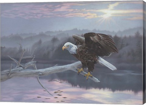 Framed Huron Eagle Print