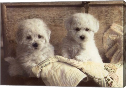 Framed Twice As Nice Print