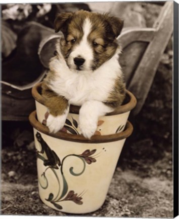 Framed Potted Pup Print