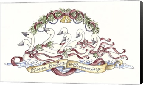 Framed Seven Swans A Swimming Print