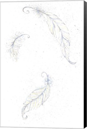 Framed Feathers Print