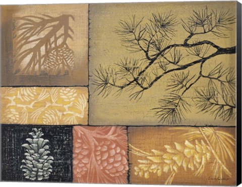 Framed Pine Cones 1 Print