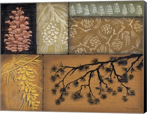 Framed Pine Cones 2 Print