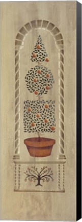 Framed Topiary I Print