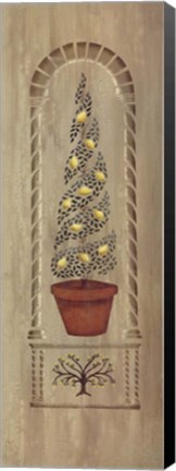 Framed Topiary 2 Print