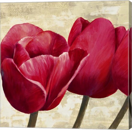 Framed Red Tulips (Detail) Print