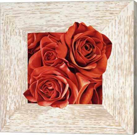 Framed French Roses I Print