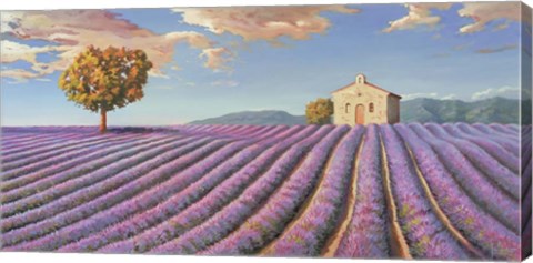 Framed Campi di Lavanda Print