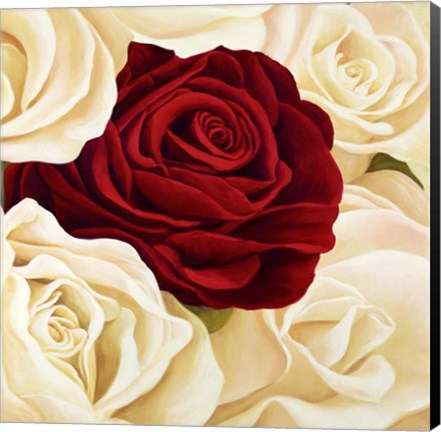 Framed Rose Composition (Detail) Print