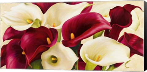 Framed Calla Composition Print