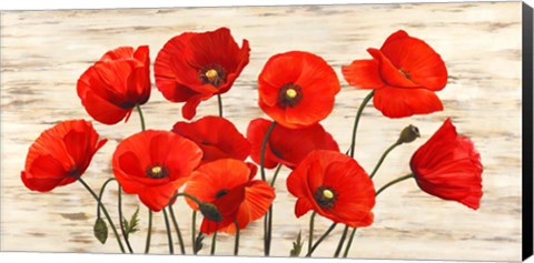 Framed French Poppies Print