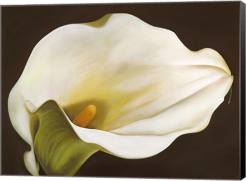 Framed Calla Print