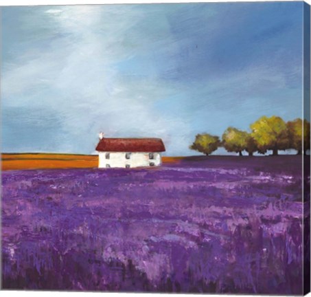 Framed Field of Lavender I Print