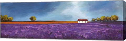 Framed Field of Lavender II Print