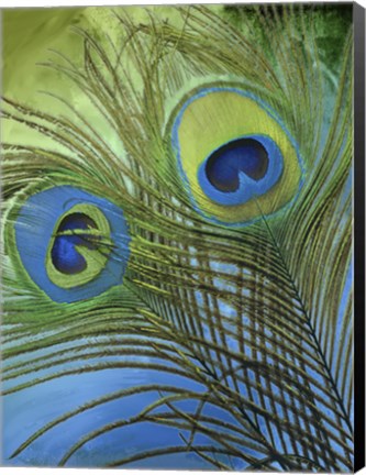 Framed Peacock Candy I Print