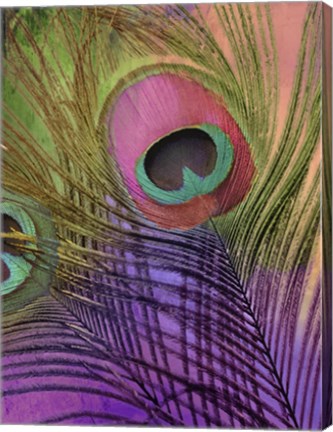 Framed Peacock Candy III Print