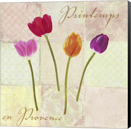Framed Printemps en Provence Print