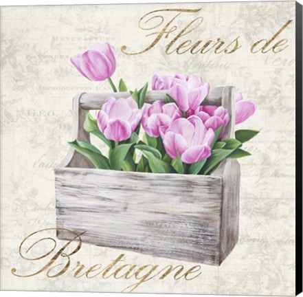 Framed Fleurs de Bretagne Print