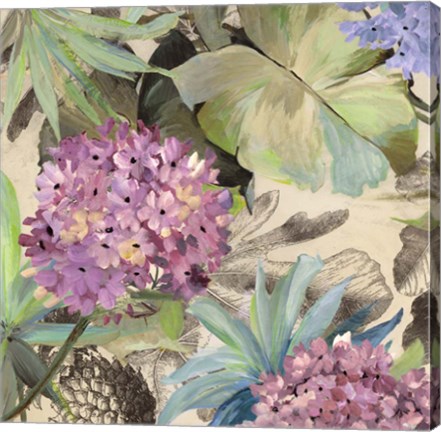 Framed Pink Hydrangeas Print