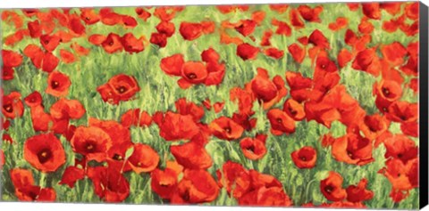 Framed Poppy Field Print