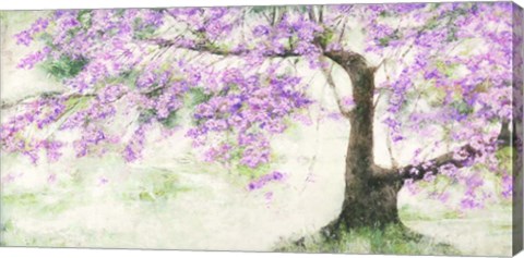 Framed Albero Fiorito Print