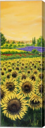 Framed Girasoli e Lavanda Print