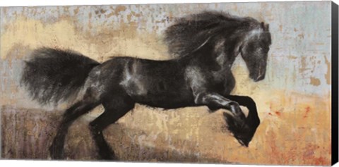 Framed Black Stallion Print