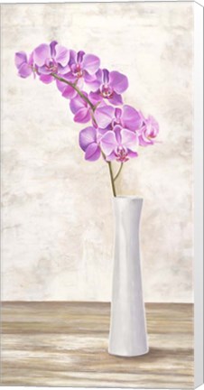 Framed Orchid Arrangement Print