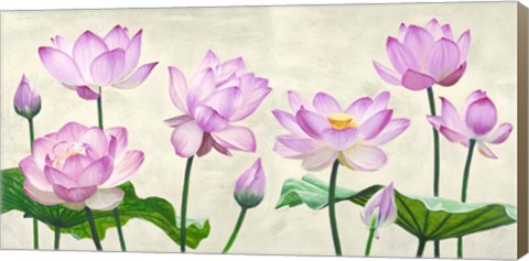 Framed Lotus Flowers Print