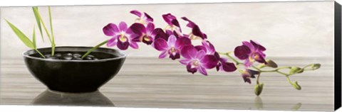 Framed Orchid Arrangement Print