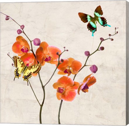 Framed Orchids &amp; Butterflies I Print