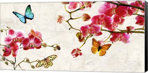 Framed Orchids &amp; Butterflies Print