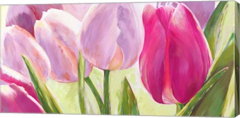 Framed Tulipes I Print