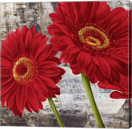 Framed Red Gerberas I Print