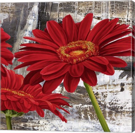 Framed Red Gerberas II Print