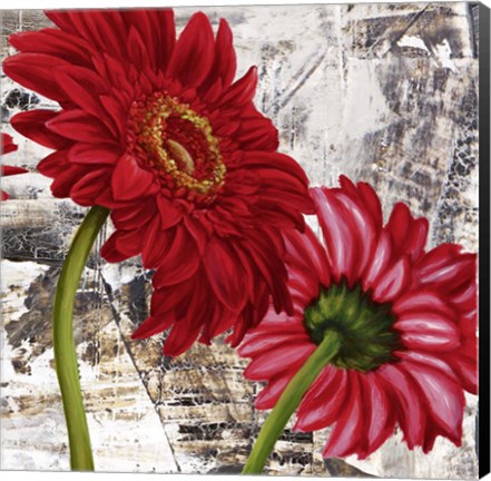 Framed Red Gerberas III Print