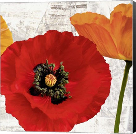 Framed Summer Poppies III Print