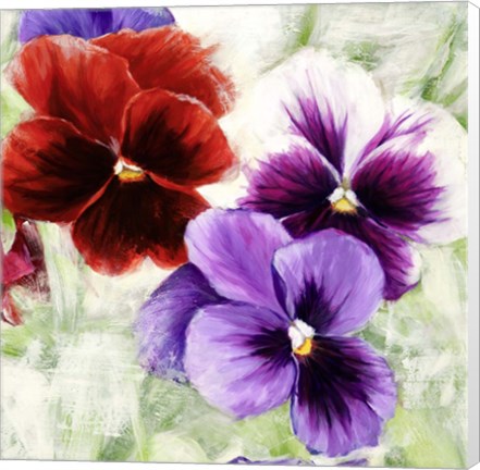 Framed Pansies I Print