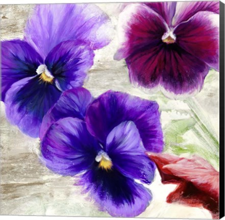 Framed Pansies II Print